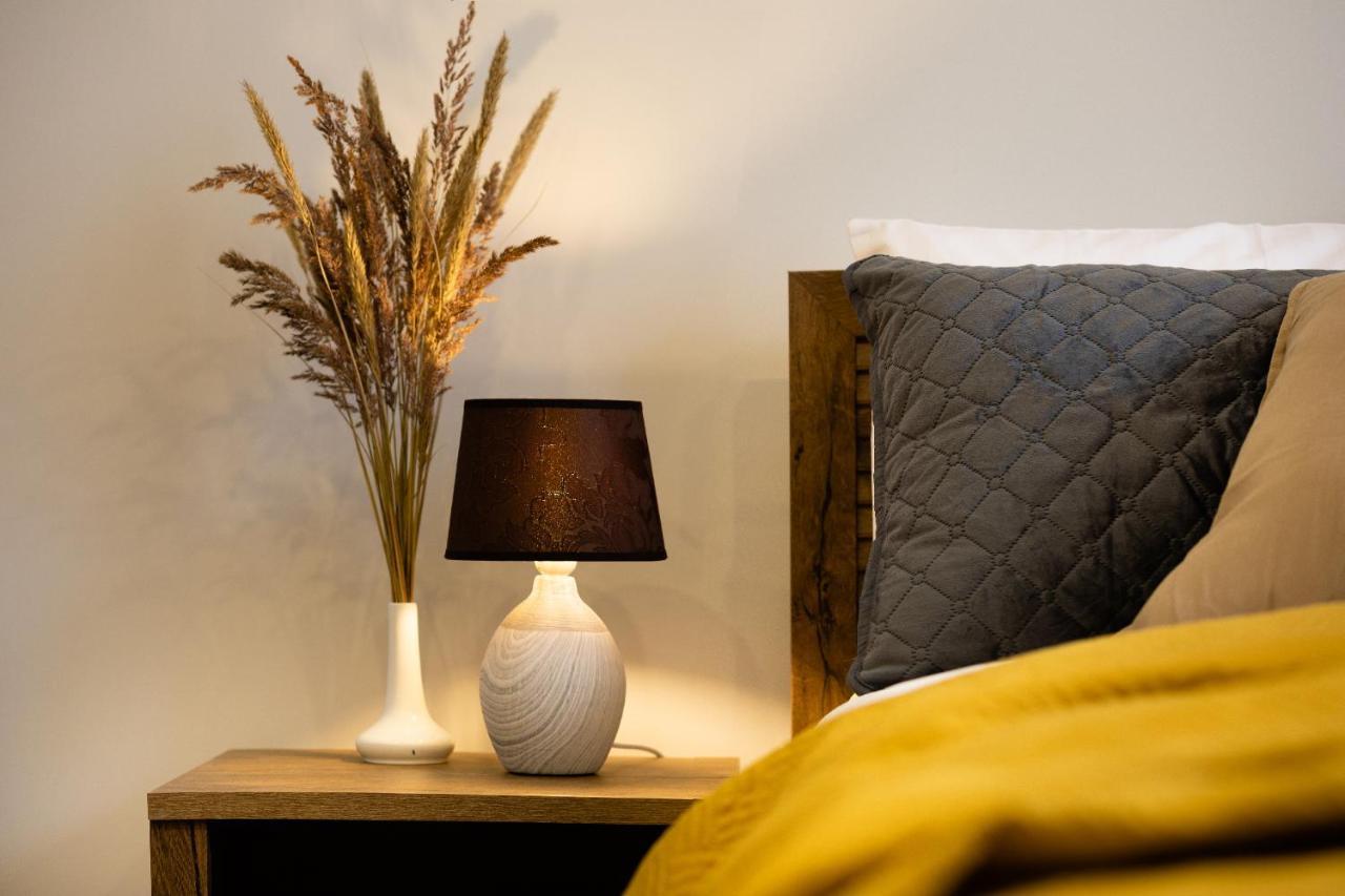 Old Ridzenes Design Apartment