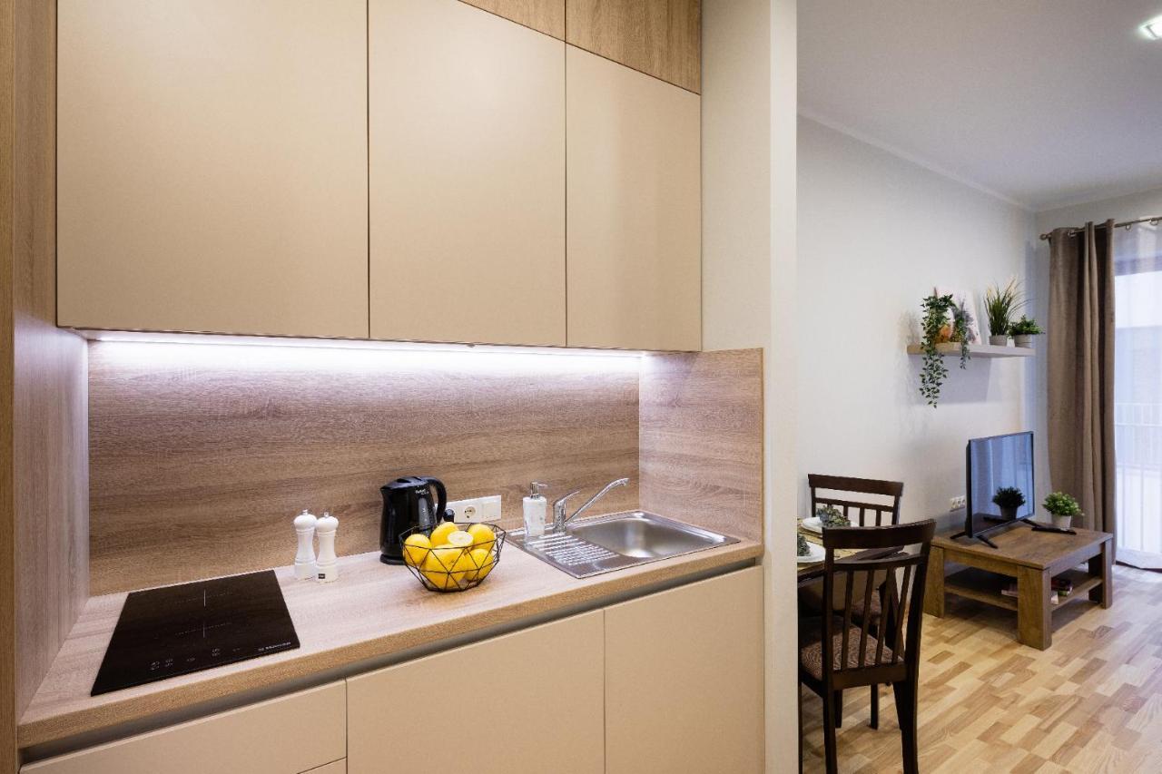 Old Ridzenes Design Apartment *
